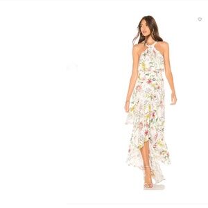 NWT!  Gorgeous Parker Fillipa Halter Dress, Size 6